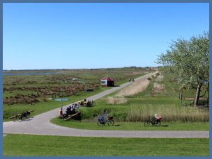 Auf Borkum finden Sie lanschaftlich schöne Radwege.